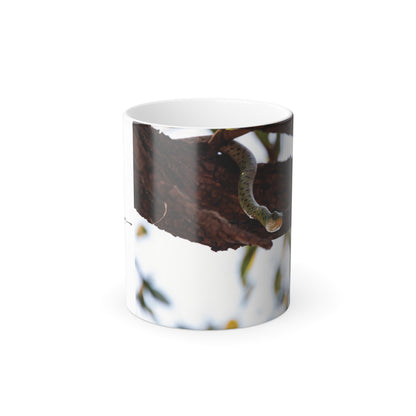 Colour Morphing Mug, 11oz - Spotted Bush Snake