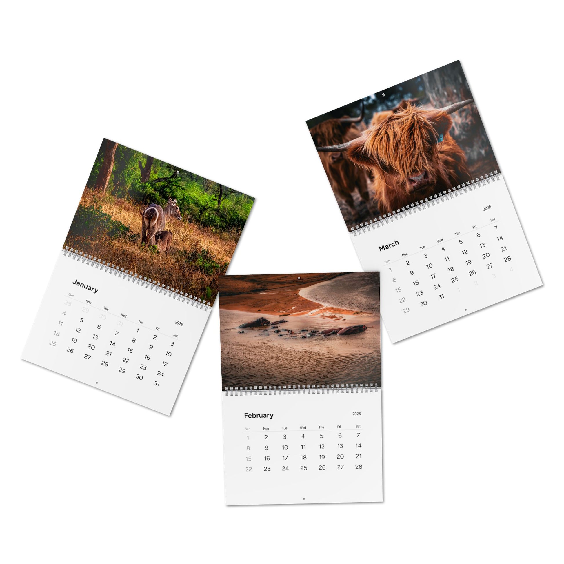 2026 Nature Wildlife Wall Calendar