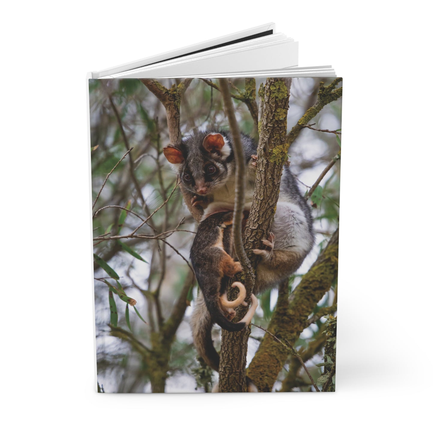 Hardcover Journal Matte - Possum and Joeys