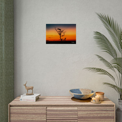 Rolled Posters - Sunset over the Kalahari 18″ x 12″ (Horizontal) Semi Glossy