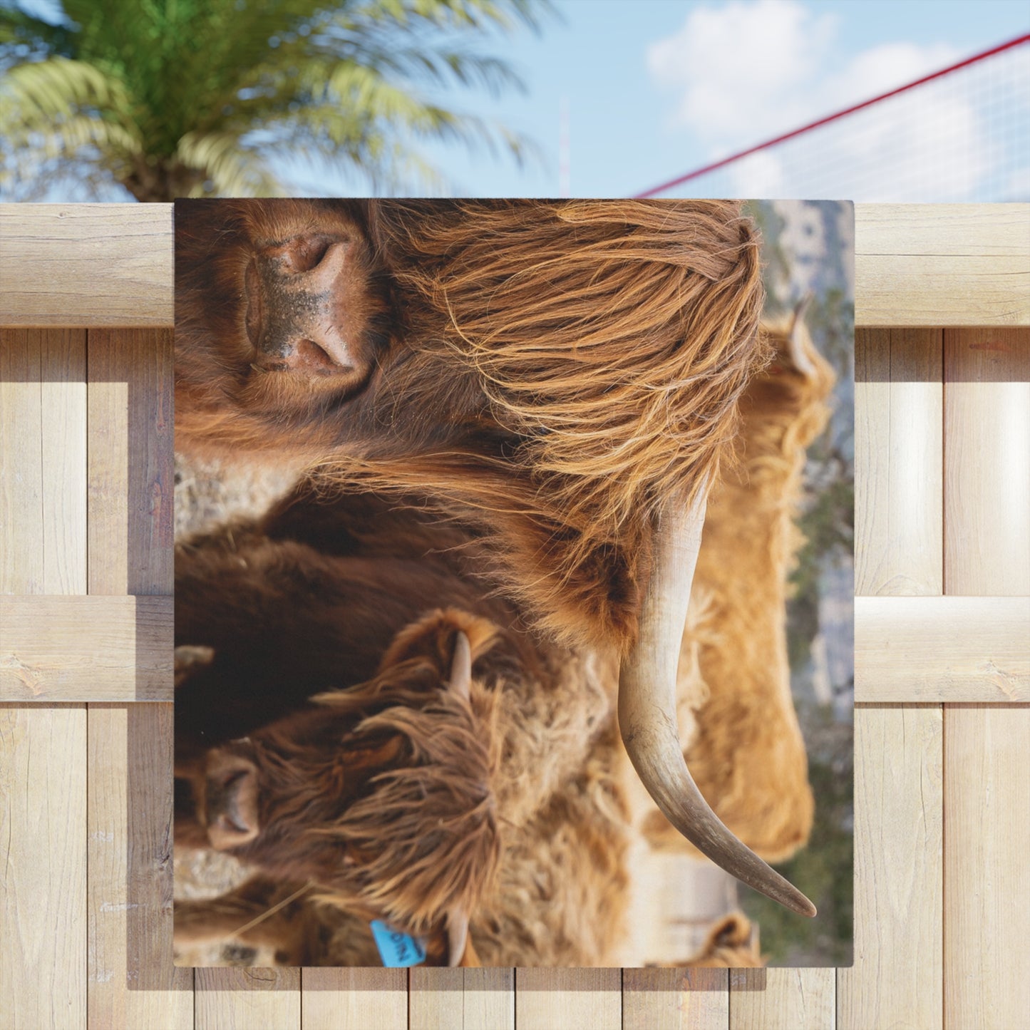 Scottish Highland Beach Towels