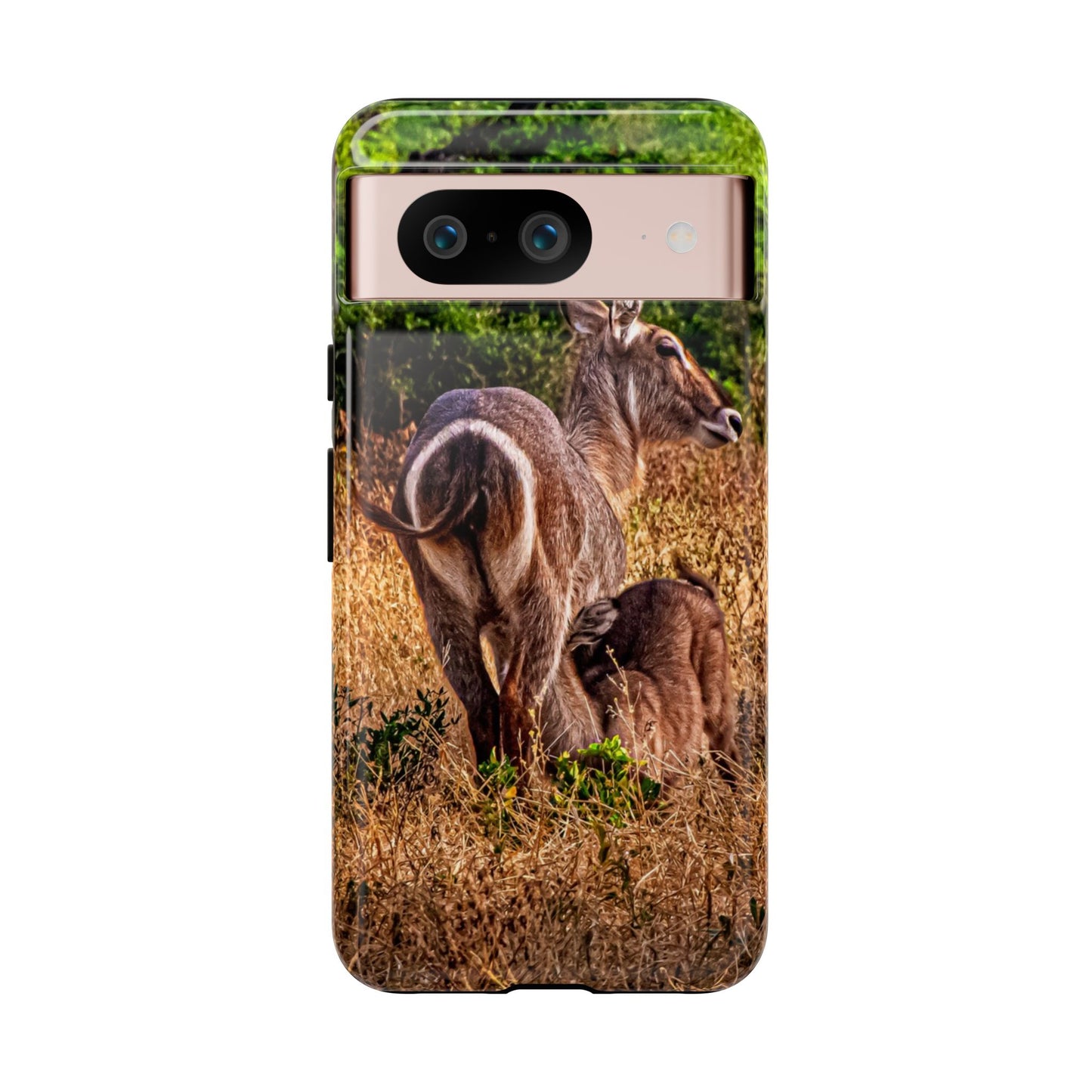 Waterbuck Baby Animal Phone Case Google Pixel 8 Glossy