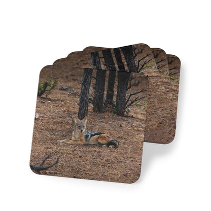 Black-Backed Jackal Coasters Square 3.7" x 3.7" 4pcs