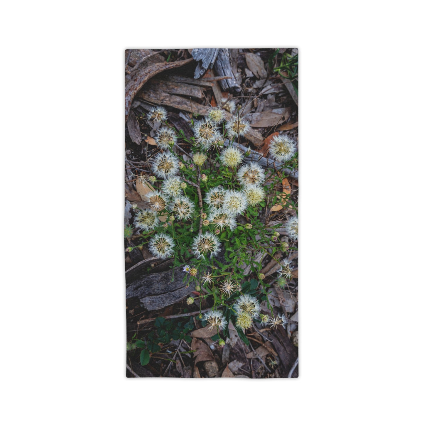 Beach Towels - Australian Wildflower Collection