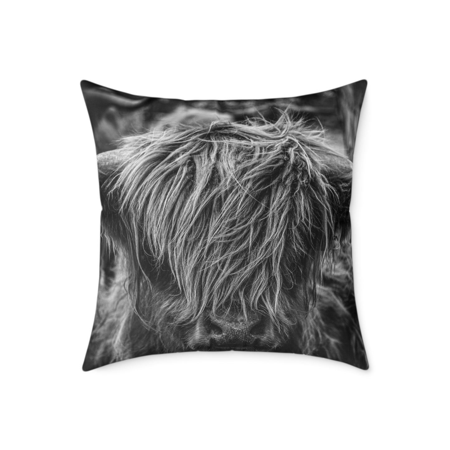 Highland Cattle Pillow B&W 24" × 24"