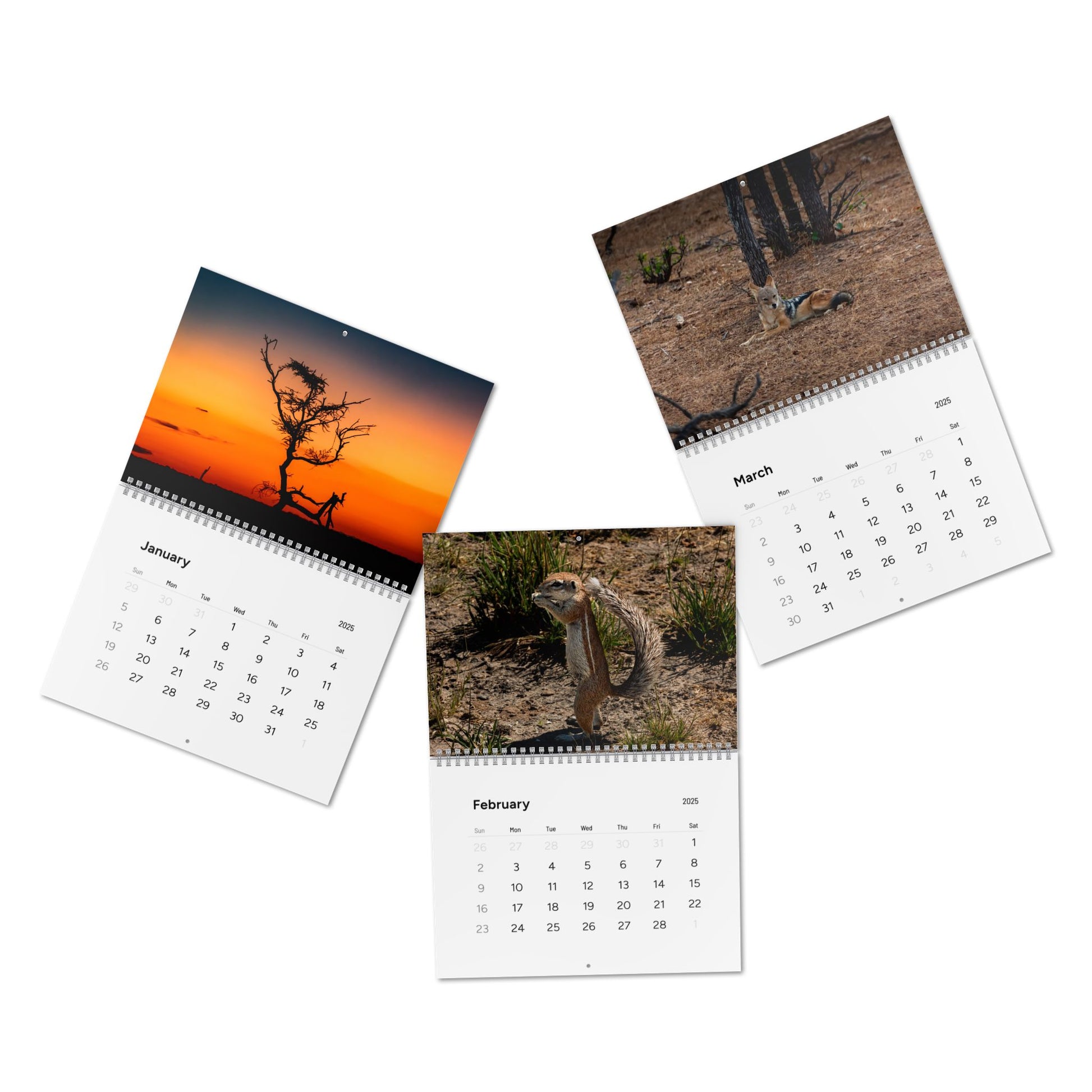 2025 Nature Wildlife Wall Calendar