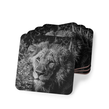 Male Lion Coasters B&W Square 3.7" x 3.7" 4pcs