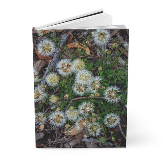 Hardcover Journal Matte - Australian Wildflower Collection