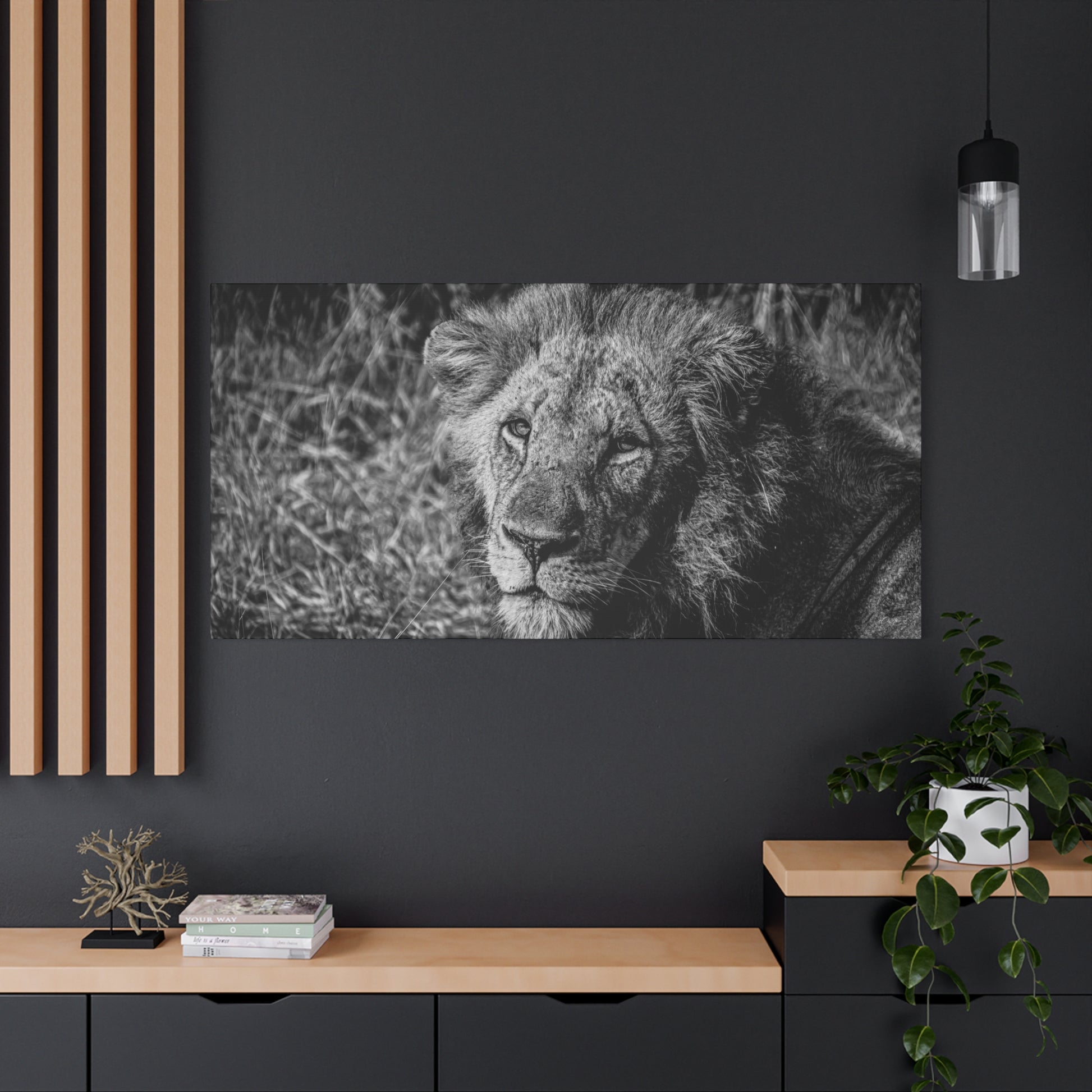 Old Lion Canvas Print B&W