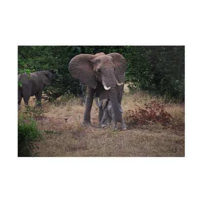 Puzzle (110, 252, 520, 1014-piece) - Elephant and Baby