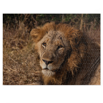 Jigsaw Puzzle (30, 110, 252, 500, 1000 Piece) - Old Lion