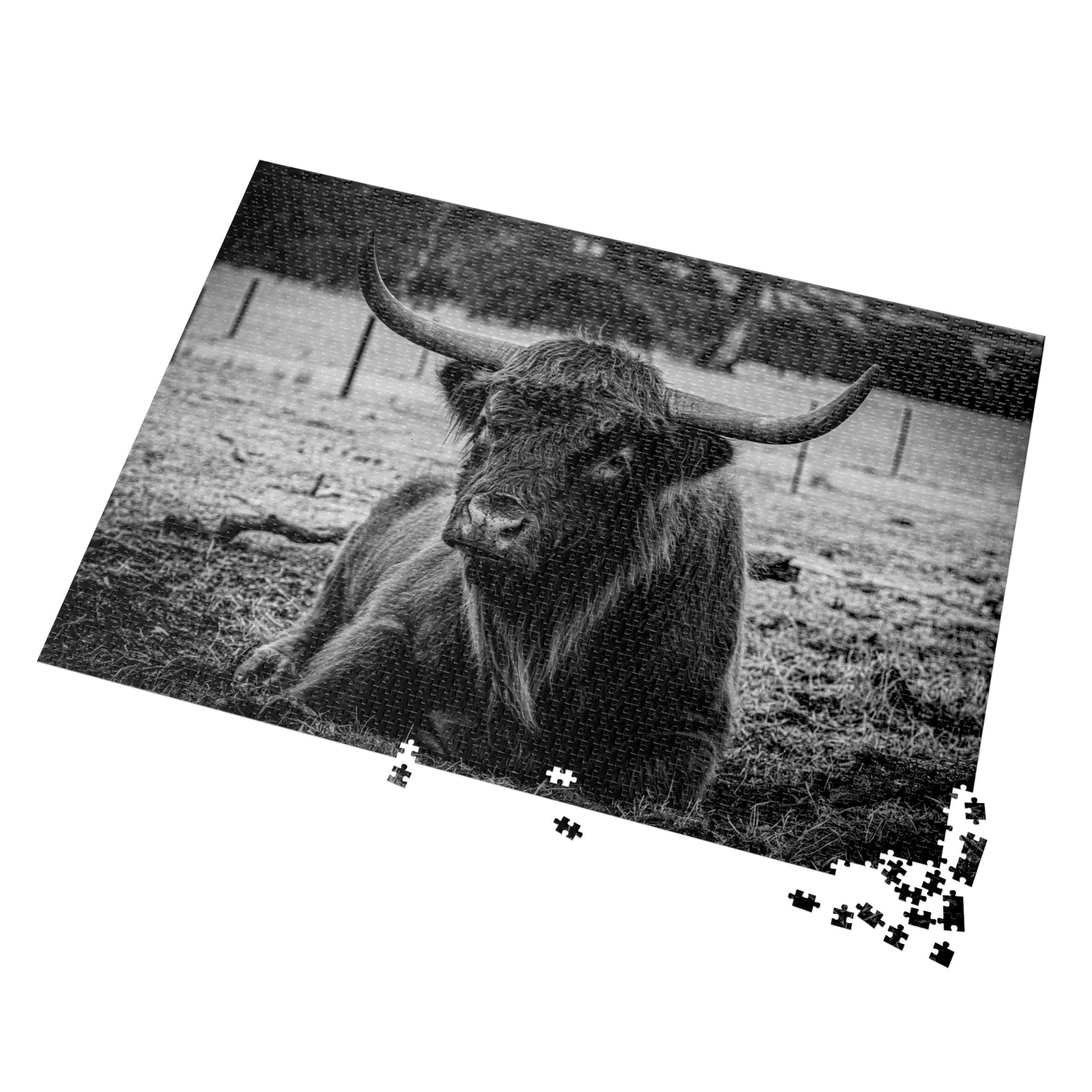 Scottish Highland Cattle Puzzle with Tin B&W