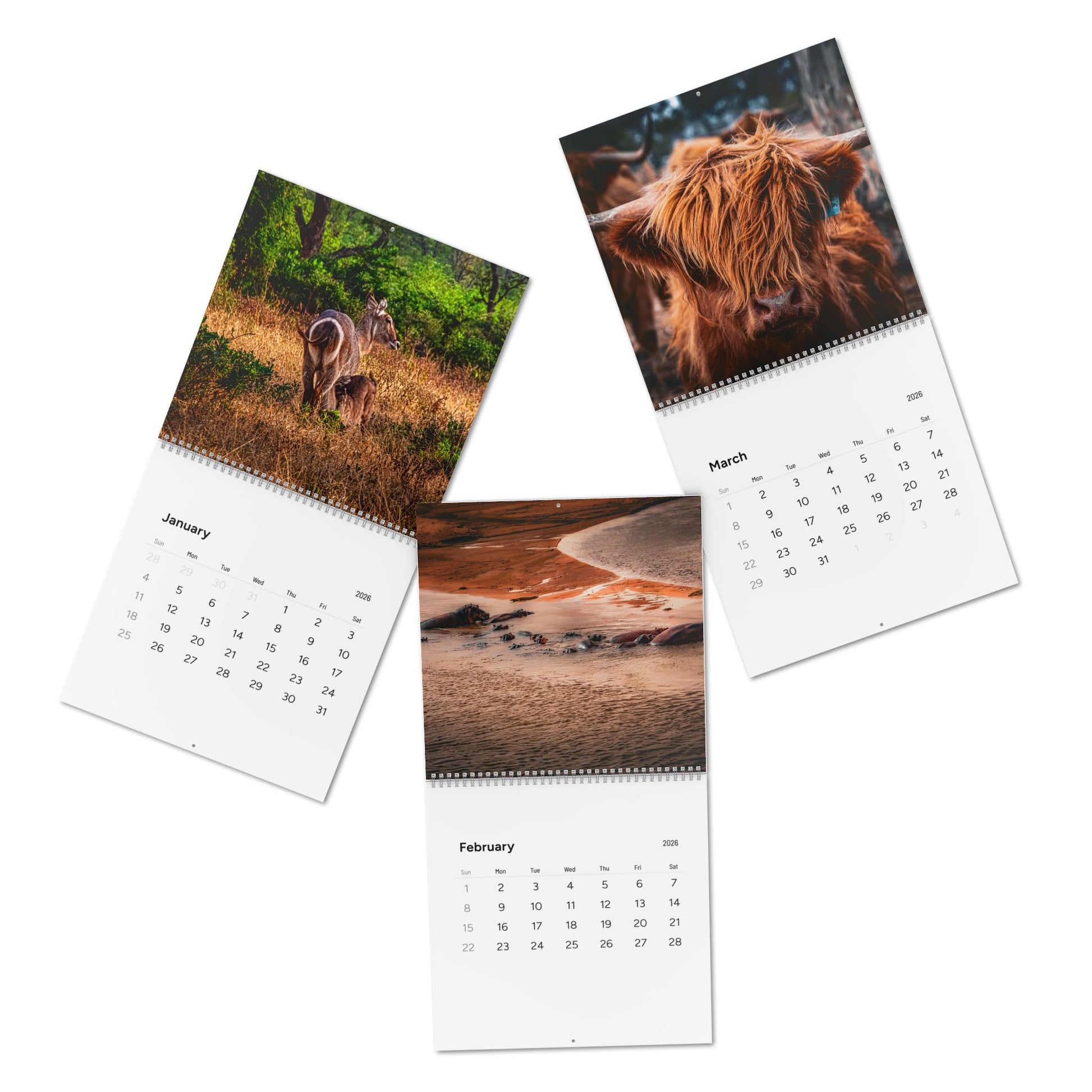 2026 Nature Wildlife Wall Calendar