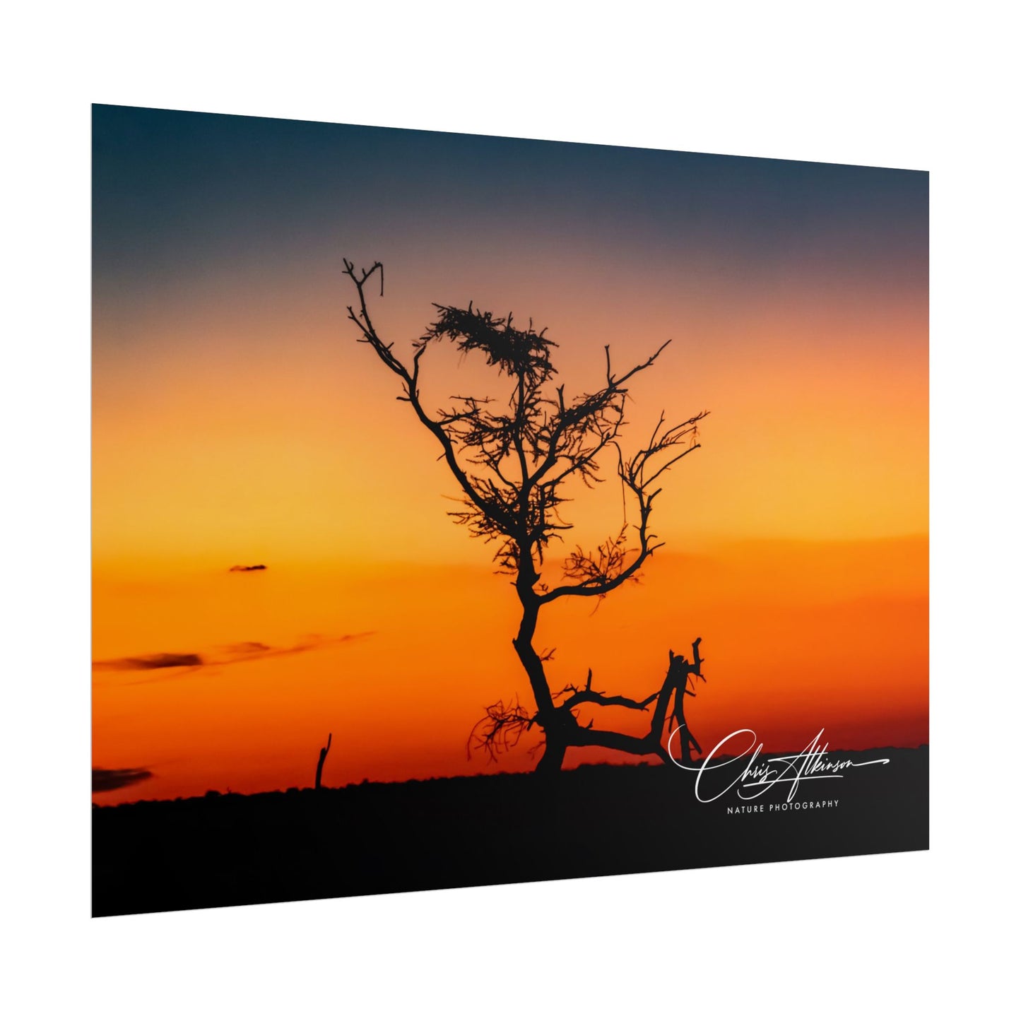 Rolled Posters - Sunset over the Kalahari