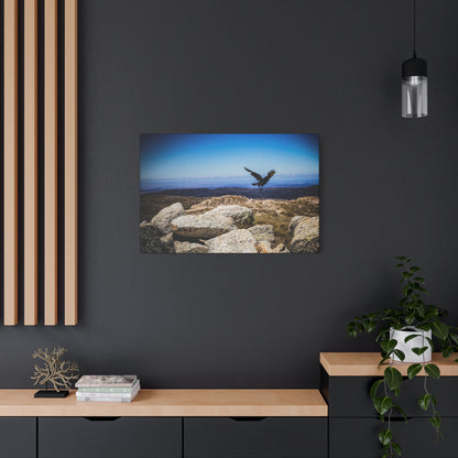 Little Raven Mt Kosciuszko Canvas Print