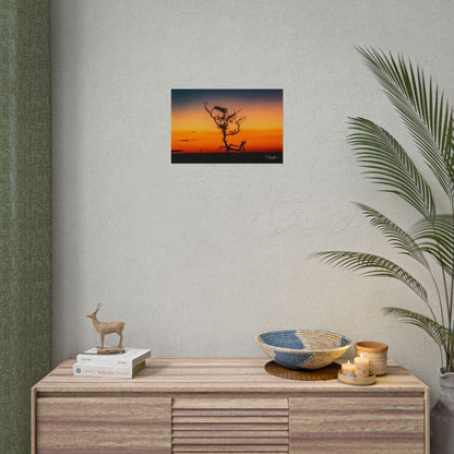 Rolled Posters - Sunset over the Kalahari 18″ x 12″ (Horizontal) Matte