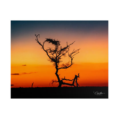 Rolled Posters - Sunset over the Kalahari