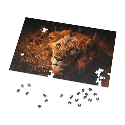 Majestic Old Lion Jigsaw Puzzle with Tin