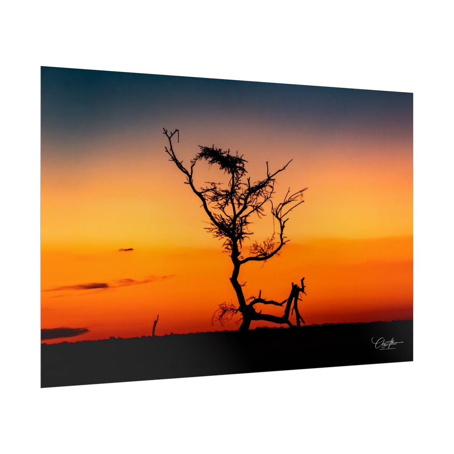 Rolled Posters - Sunset over the Kalahari