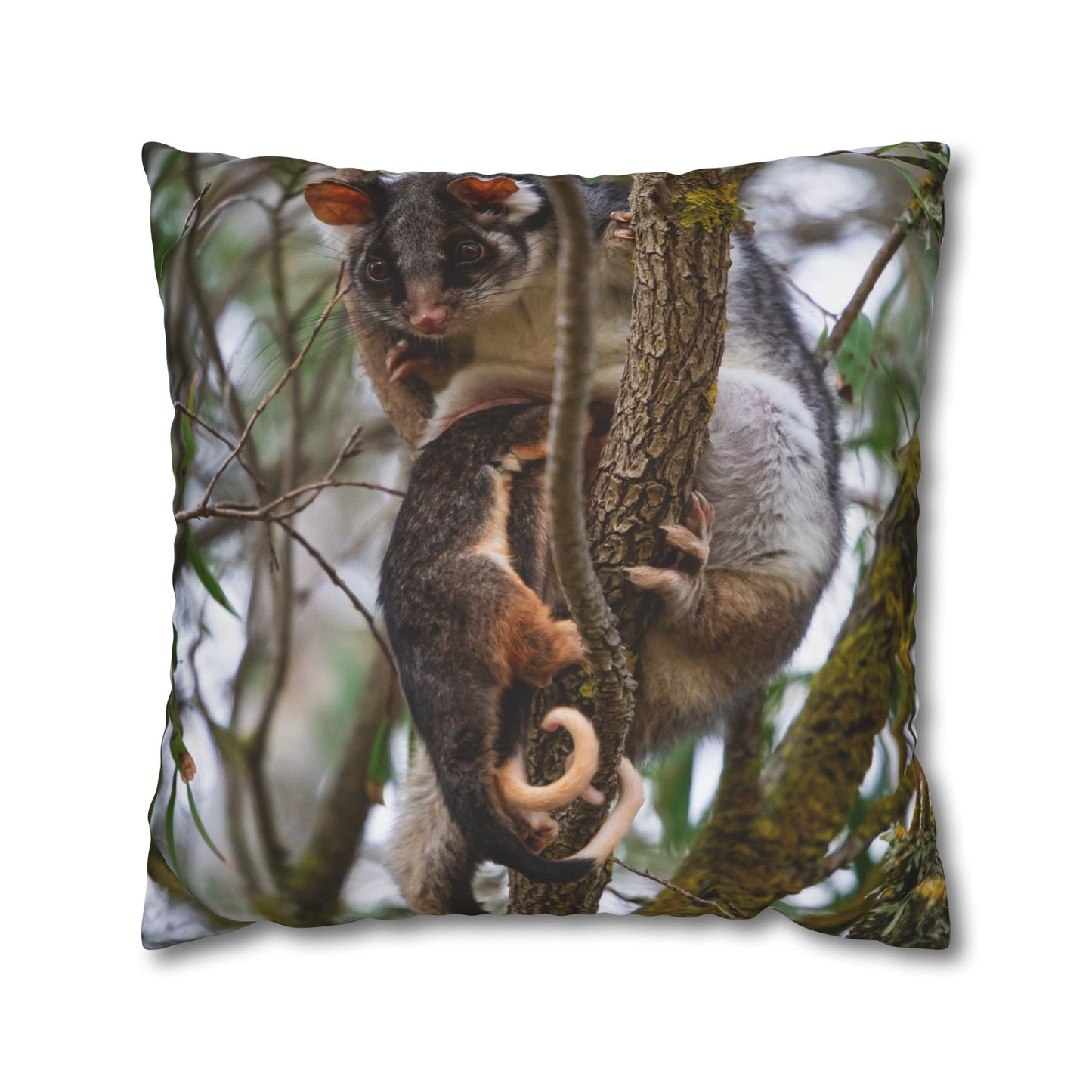 Poly Canvas Pillowcase - Possum and Joeys