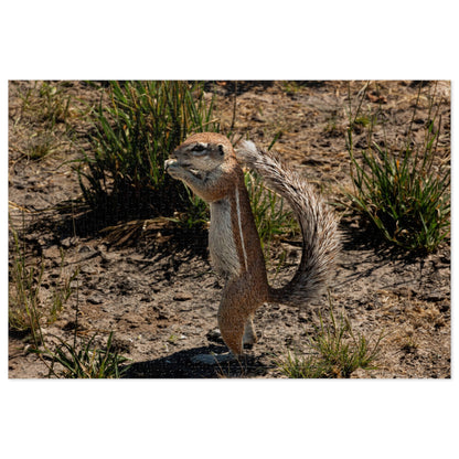 Jigsaw Puzzle (30, 110, 252, 500, 1000 Piece) - Ground Squirrel