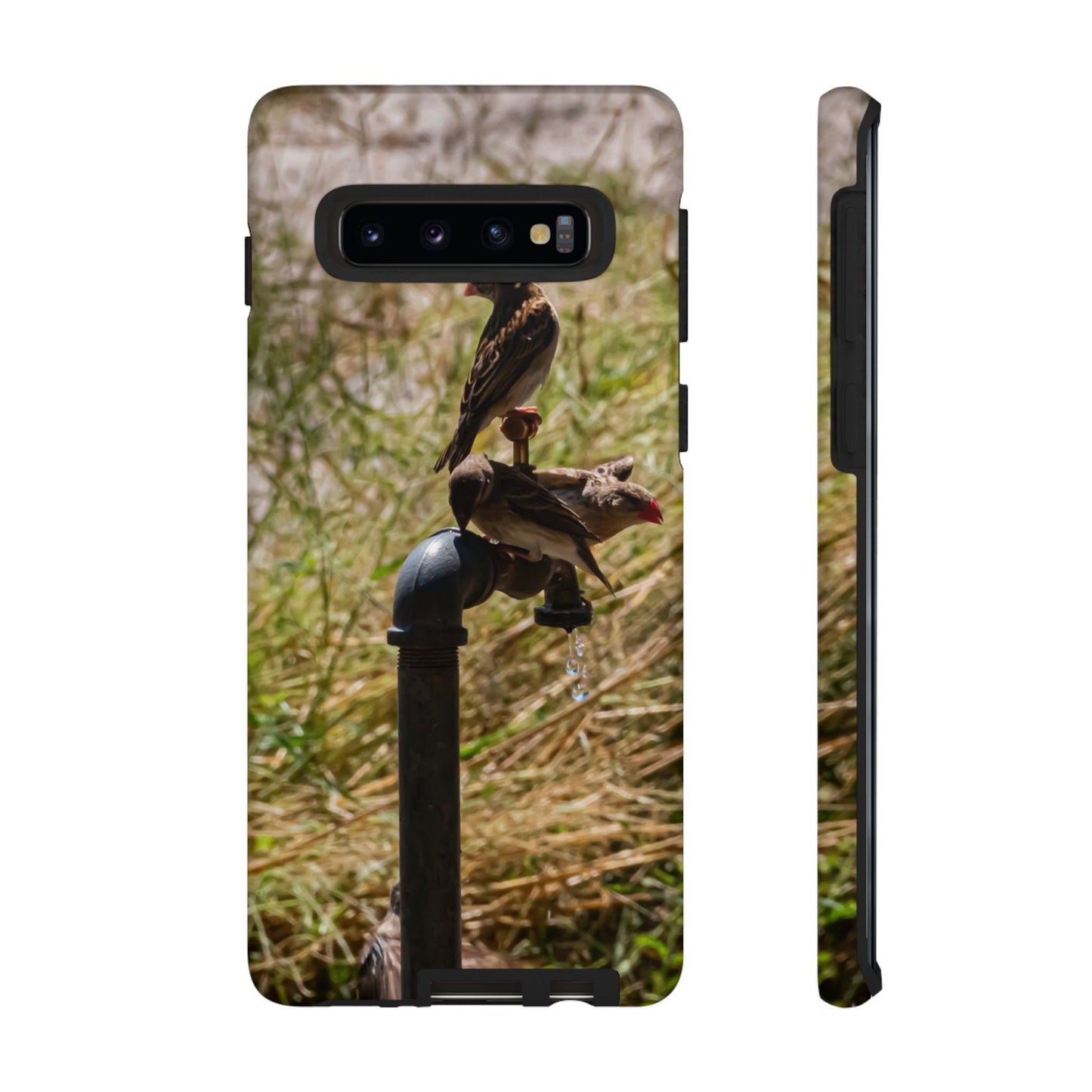 Tough Case - Birds at A Dripping Tap Samsung Galaxy S10 Matte