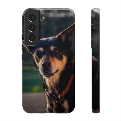 Tough Case - Saba the Kelpie Samsung Galaxy S22 Glossy