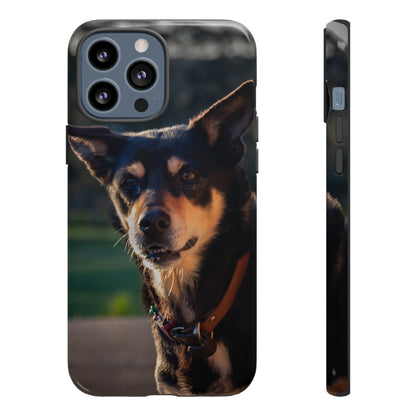 Tough Case - Saba the Kelpie iPhone 13 Pro Max Glossy