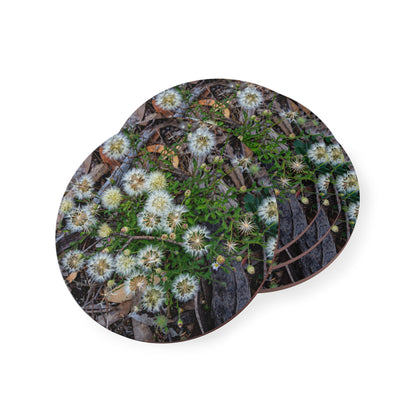 Australian Wildflower Coasters Round 3.7" x 3.7" 4pcs