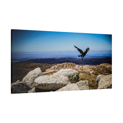 Little Raven Mt Kosciuszko Canvas Print