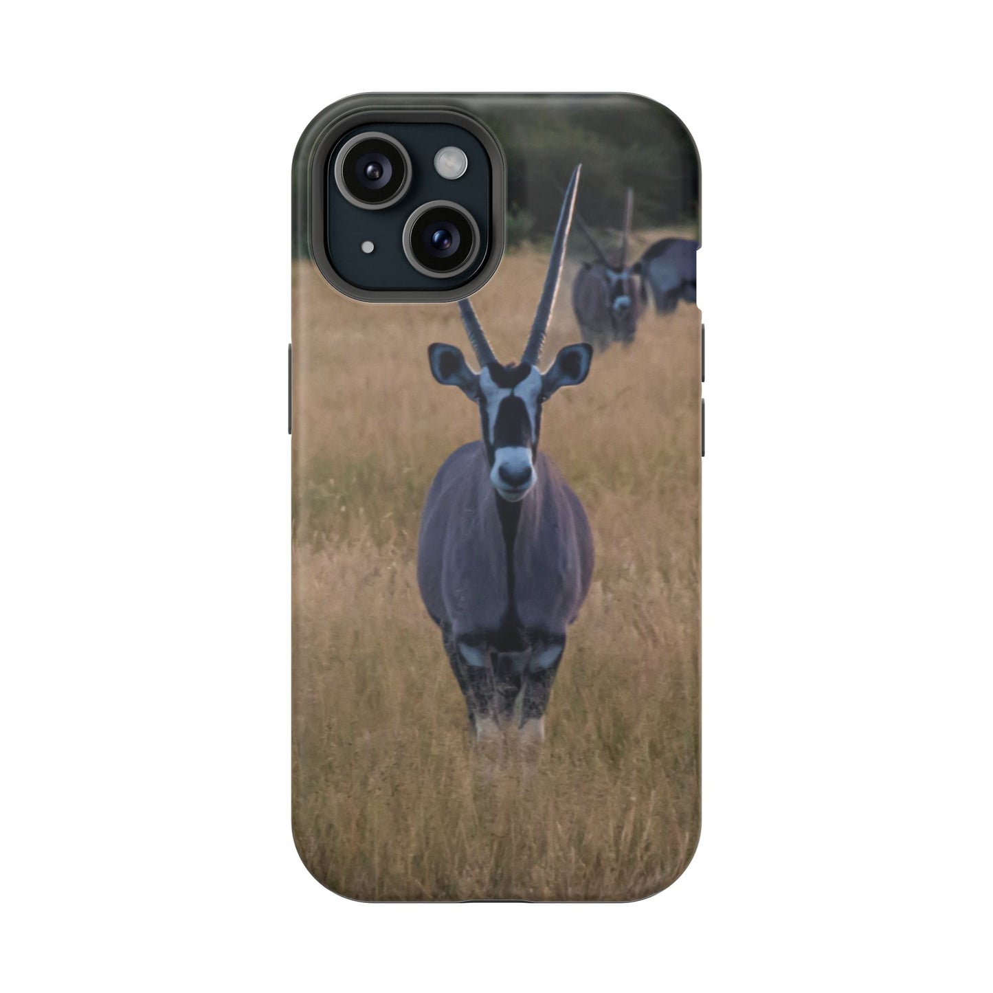 Gemsbok Oryx Magsafe Case iPhone 15 Matte