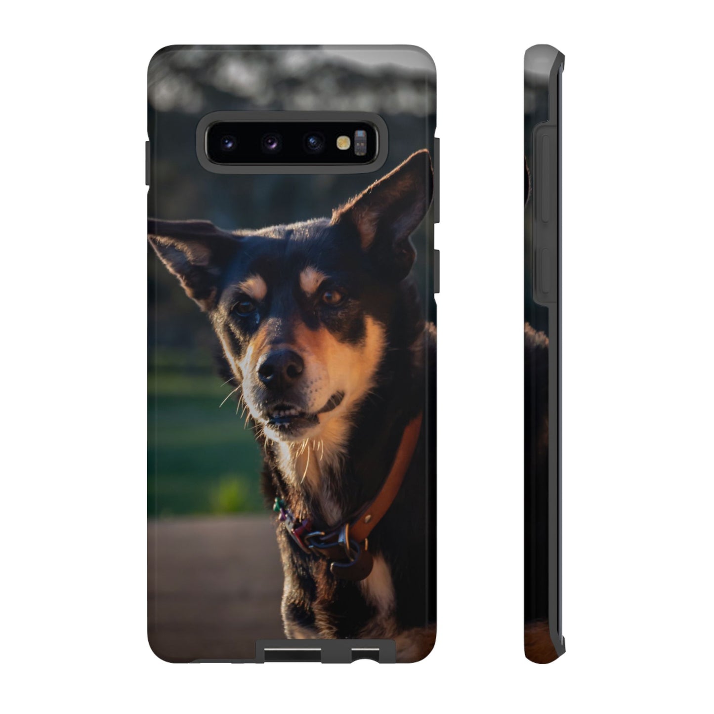Tough Case - Saba the Kelpie Samsung Galaxy S10 Plus Glossy