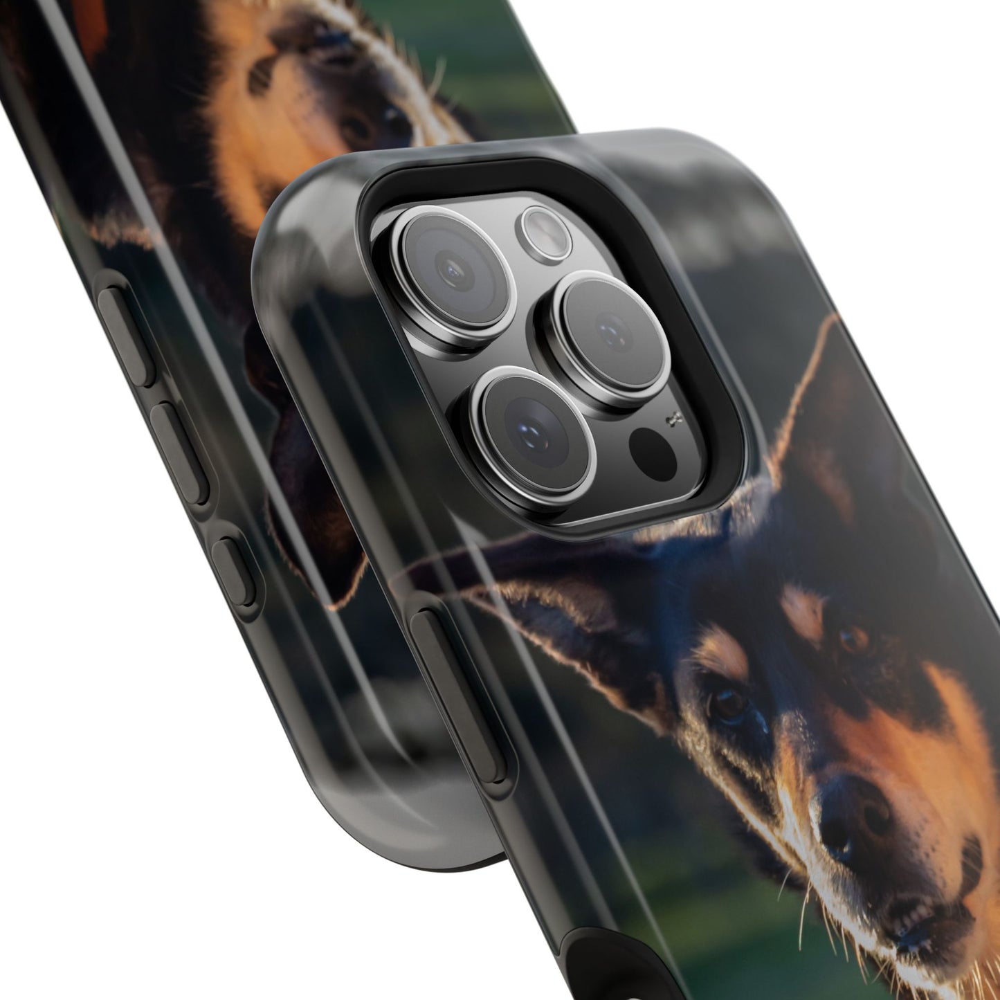 Magsafe® Compatible Tough Cases - Saba The Kelpie