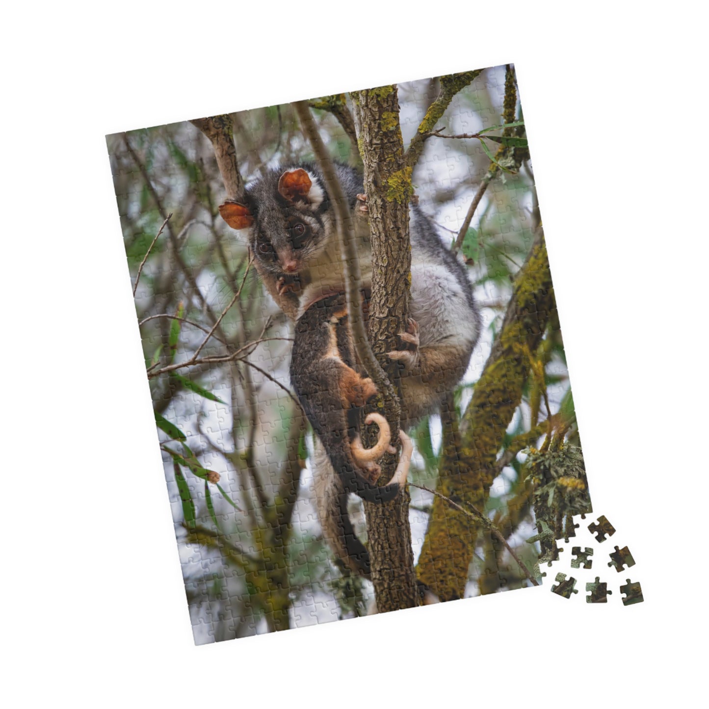 Puzzle (110, 252, 520, 1014-piece) - Possum and Joeys