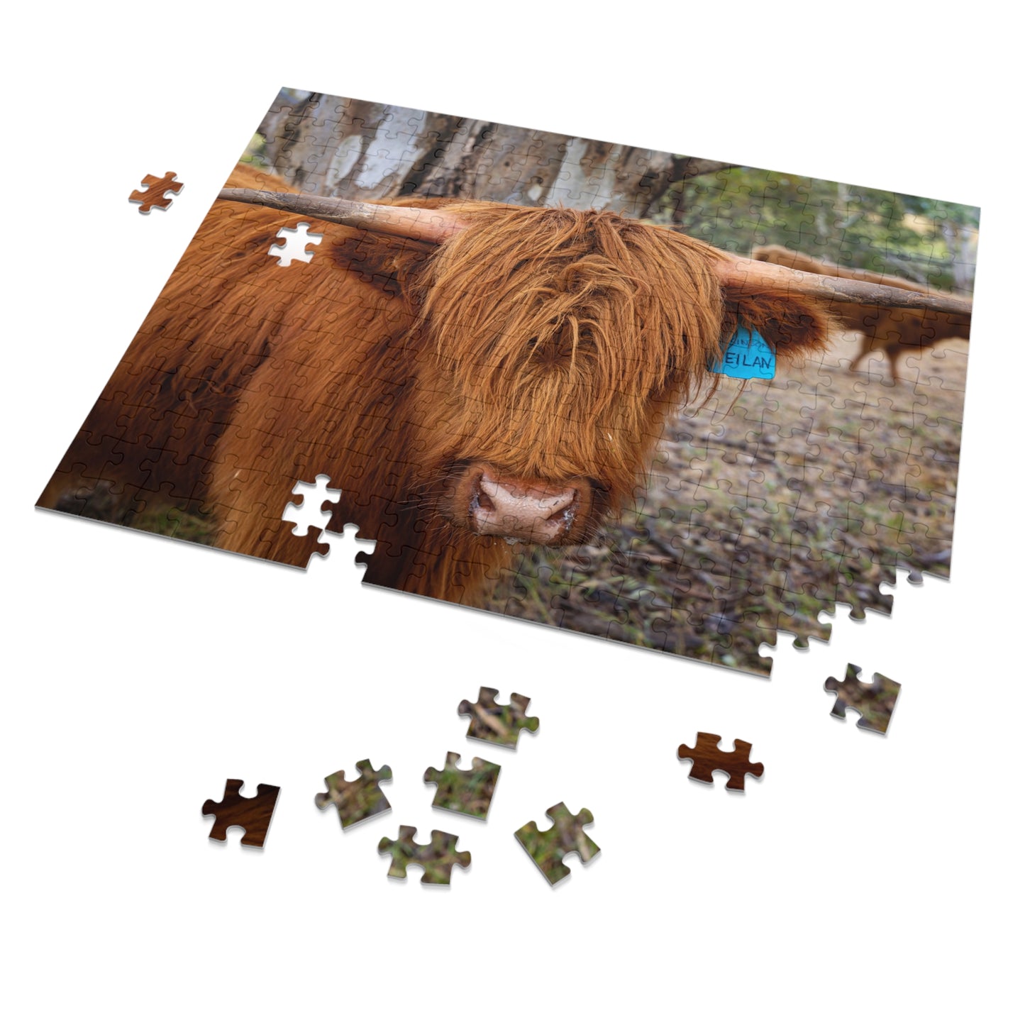 Jigsaw Puzzle (30, 110, 252, 500, 1000 Piece) - Scottish Highland Cattle