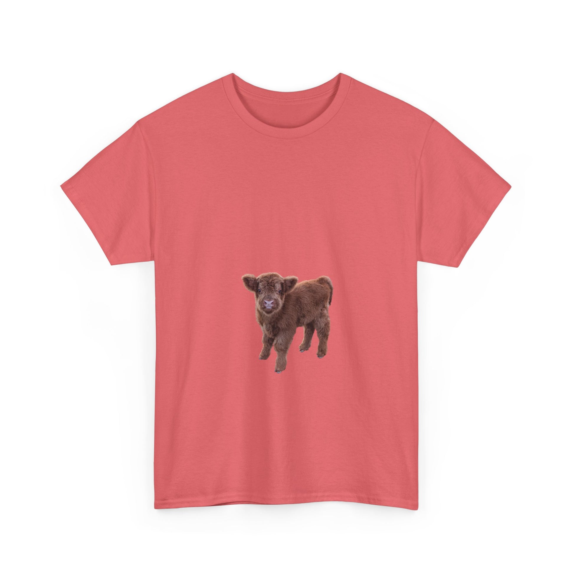 Highland Calf Tee