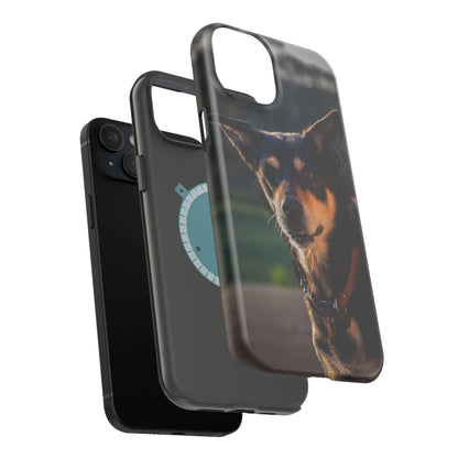 Magsafe® Compatible Tough Cases - Saba The Kelpie