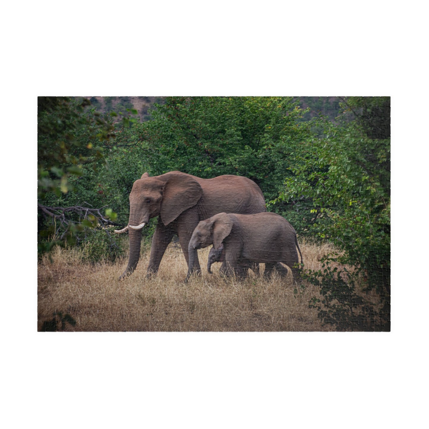 Puzzle (110, 252, 520, 1014-piece) - Elephant Family