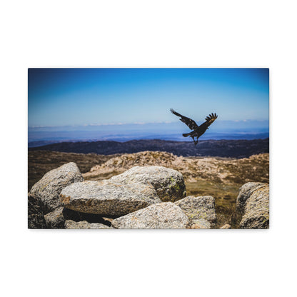 Little Raven Mt Kosciuszko Canvas Print 18″ x 12″ (Horizontal) 1.25"