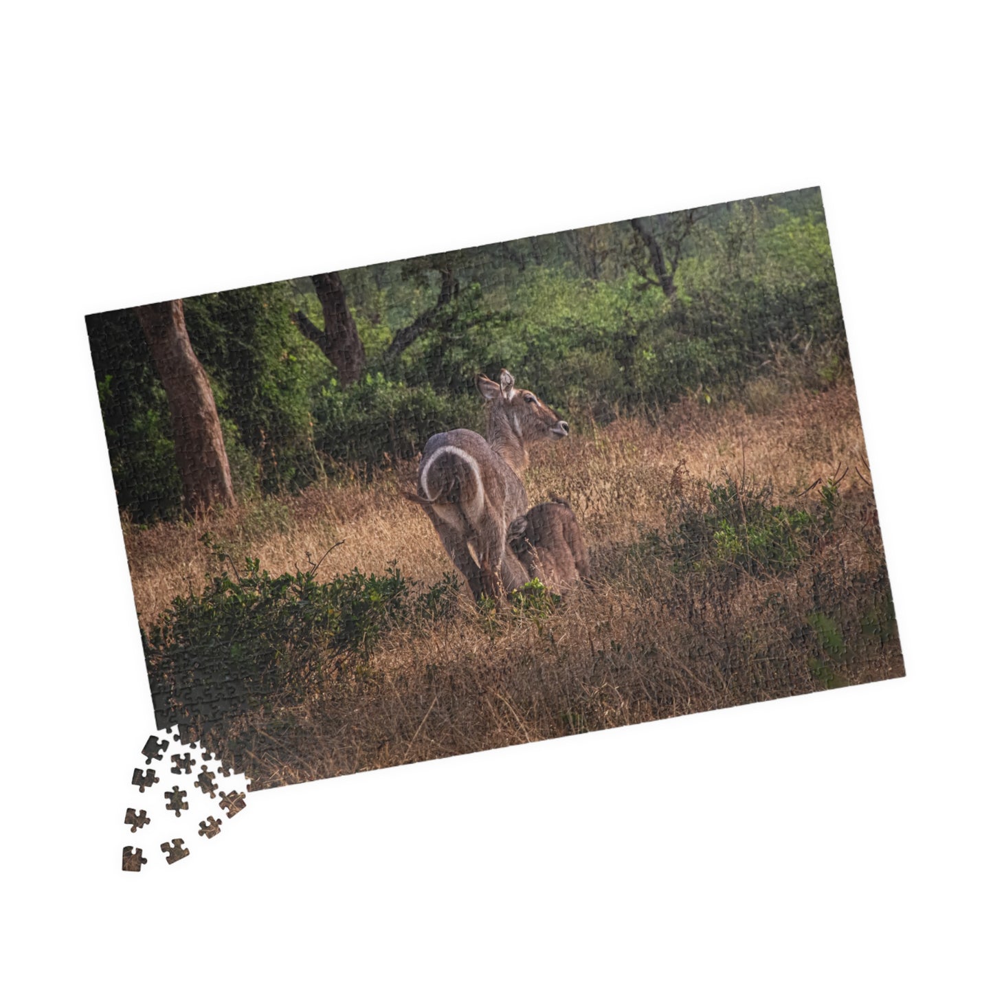 Puzzle (110, 252, 520, 1014-piece) - Waterbuck and Baby