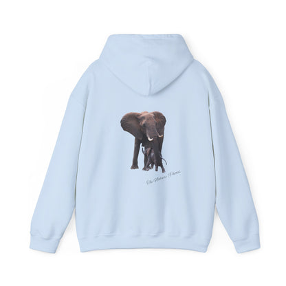 Baby Elephant Hoodie