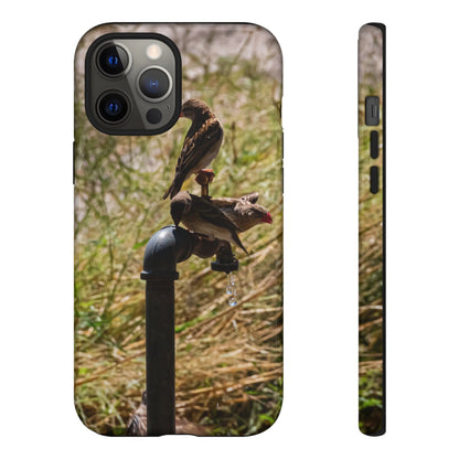 Tough Case - Birds at A Dripping Tap iPhone 12 Pro Max Glossy