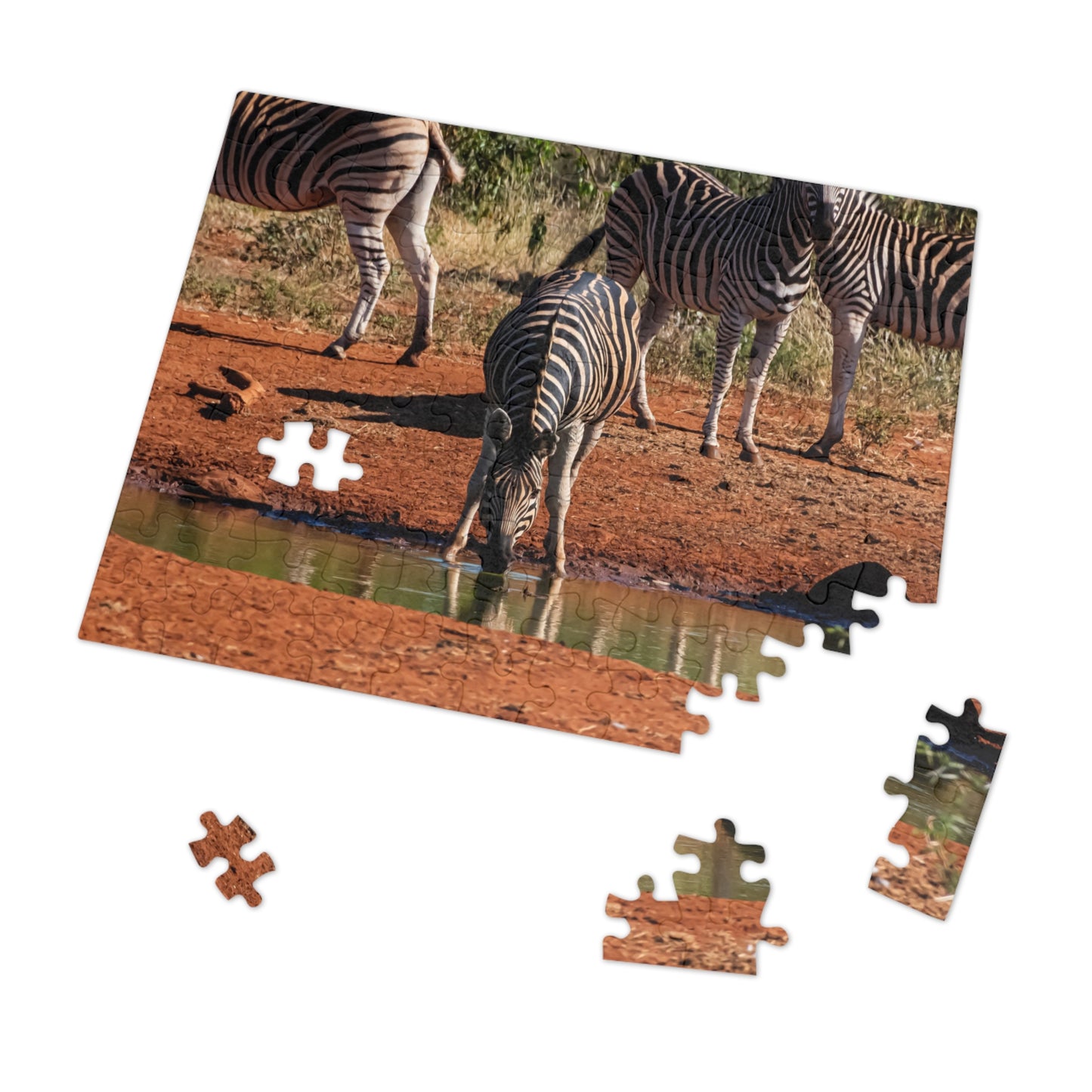 Jigsaw Puzzle (30, 110, 252, 500, 1000 Piece) - Zebra at Waterhole