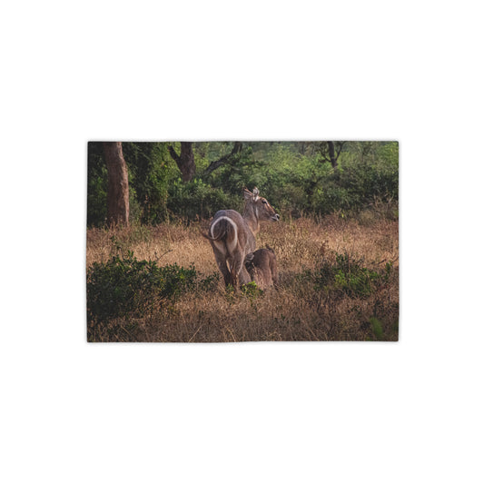 Beach Towels - Waterbuck and Baby