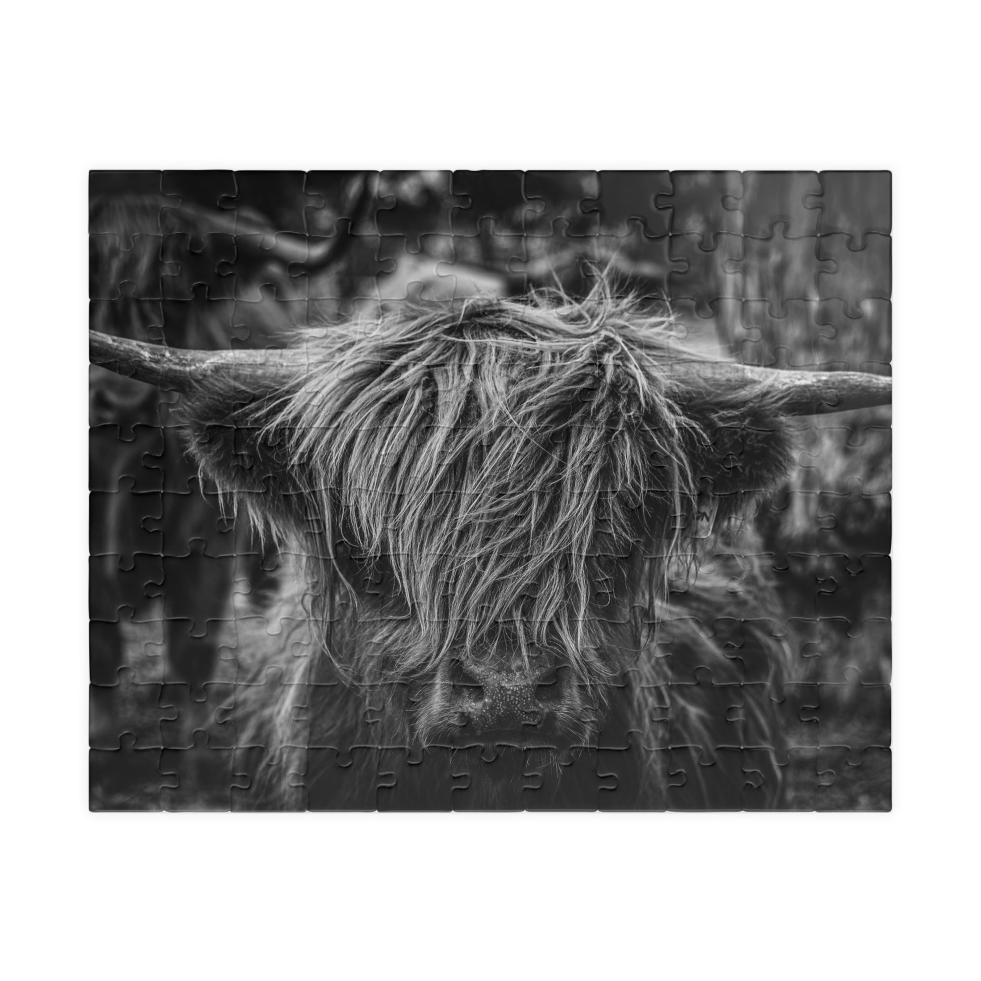 Scottish Highland Cattle Puzzle B&W 110 pcs (Horizontal)