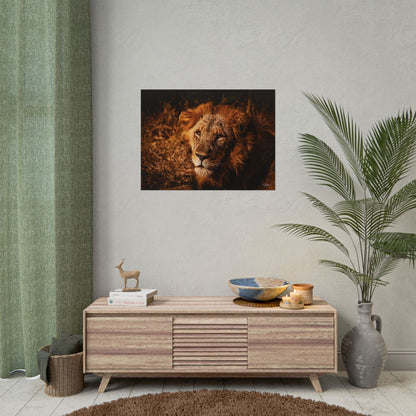 Rolled Posters - Old Lion 32" x 24" (Horizontal) Semi Glossy