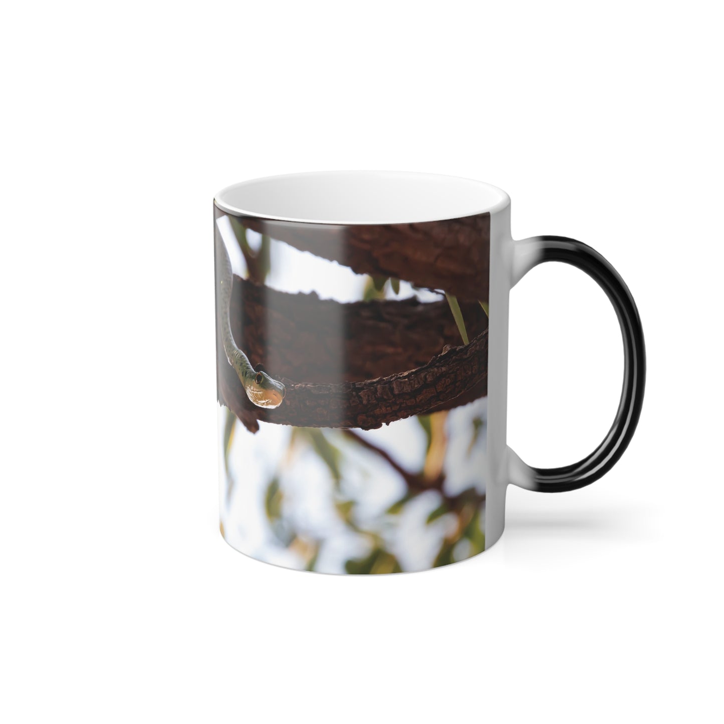 Colour Morphing Mug, 11oz - Spotted Bush Snake