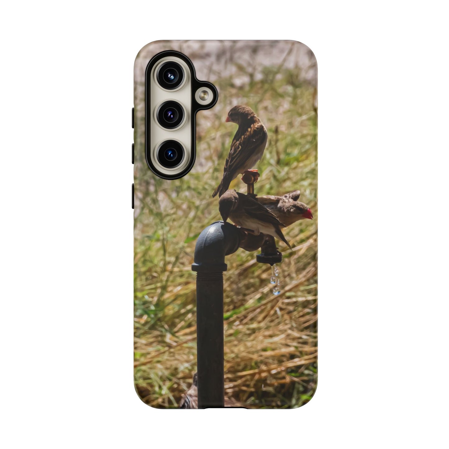 Tough Case - Birds at A Dripping Tap Samsung Galaxy S24 Matte