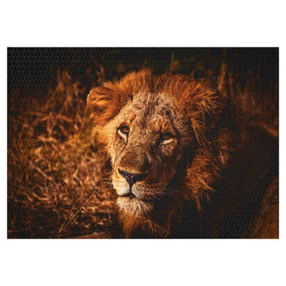 Majestic Old Lion Jigsaw Puzzle with Tin 40" x 28" (2000 pcs)