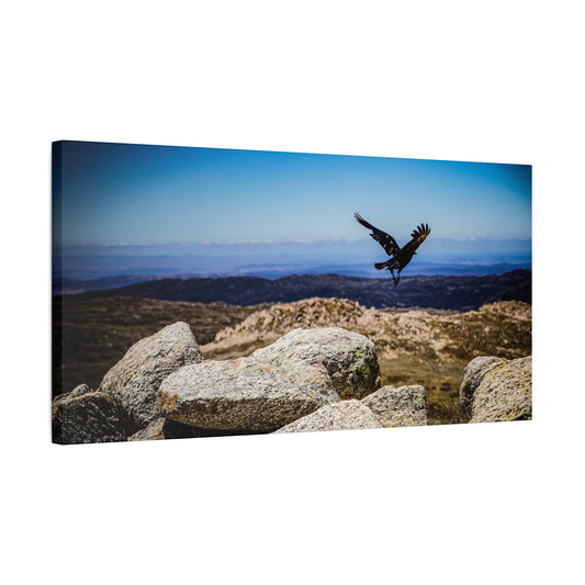 Little Raven Mt Kosciuszko Canvas Print 30" x 15" (Horizontal) 1.25"